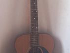 Acoustic Guitar