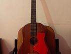 Acoustic Guitar
