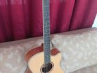 Acoustic Guitar