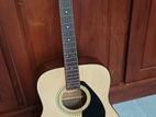 Acoustic Guitar