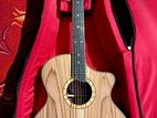Acoustic guitar