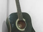 Acoustic Guitar