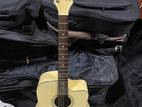 Acoustic Guitar