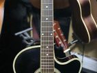 Acoustic Guitar