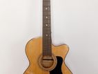 acoustic guitar