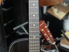 Acoustic Guitar