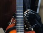 Acoustic Guitar
