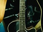 Acoustic Guitar