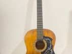 Acoustic Guitar