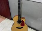 Acoustic Guitar