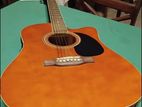 Acoustic Guitar