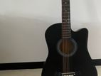 Acoustic Guitar
