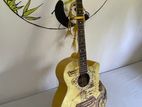 Acoustic Guitar