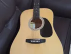 Acoustic Guitar
