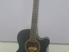 Acoustic Guitar