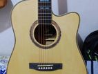 Acoustic Guitar
