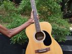 Acoustic Guitar