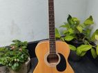 Acoustic Guitar