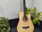 Acoustic Guitar