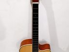 Cranberries Acoustic Guitar