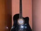 Acoustic Guitar