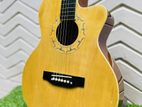 acoustic guitar