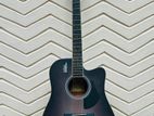 Acoustic Guitar