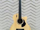 Acoustic guitar