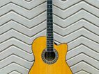 Acoustic guitar