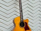 Acoustic guitar