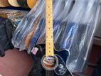 Acoustic Guitar