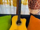 Acoustic Guitar