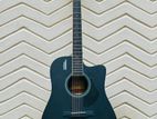 Acoustic guitar
