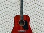 Acoustic guitar