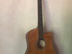 Acoustic Guitar