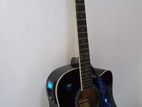 Acoustic Guitar