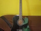 Acoustic Guitar