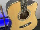 Acoustic Guitar