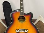 Acoustic Guitar - Gibson
