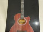 Acoustic Guitar