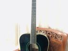 Acoustic Guitar SX DG160