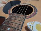 Acoustic Guitar|6 Strings