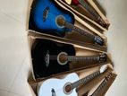 Acoustic Guitars