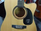 Acoustic Guitar