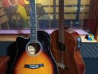 Acoustic Guitars