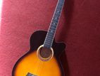 Acoustic Gusic Guitar