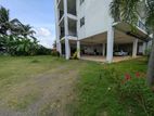 (ACR73) Commercial Property for Rent in Homagama