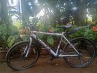 Active Lumala