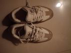 Addidas Sambas Shoe