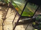 Fish Tank 2'